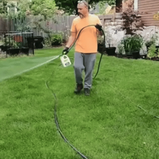 Fertilizator Gazon - VivaVerde
